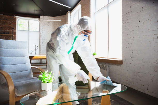 Best Mold Remediation for Healthcare Facilities in USA